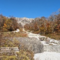 実際訪問したユーザーが直接撮影して投稿した大山山 / 峠大山の写真