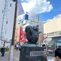 実際訪問したユーザーが直接撮影して投稿した錦町銅像こりすのトトちゃんの写真