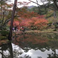 実際訪問したユーザーが直接撮影して投稿した弥彦公園弥彦公園の写真