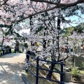 実際訪問したユーザーが直接撮影して投稿した西公園神社光雲神社の写真