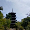 実際訪問したユーザーが直接撮影して投稿した御室大内寺仁和寺の写真