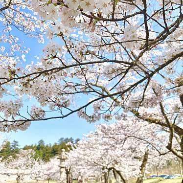 YUN722さんが投稿した御山町公園のお店悠久山公園/ユウキュウザンコウエンの写真