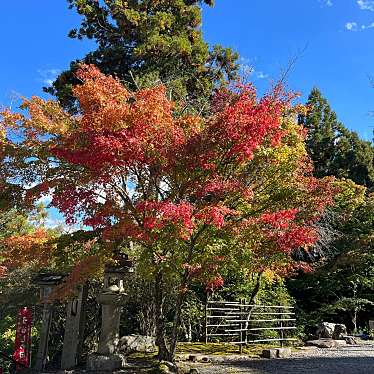 実際訪問したユーザーが直接撮影して投稿した嵐山虚空蔵山町寺法輪寺の写真