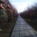 実際訪問したユーザーが直接撮影して投稿した天神町神社朝日森天満宮の写真