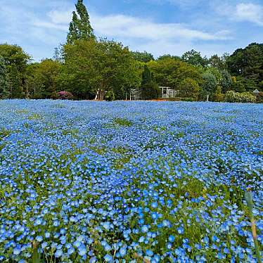 実際訪問したユーザーが直接撮影して投稿した清水植物園 / 樹木園清水公園花ファンタジアの写真