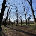 実際訪問したユーザーが直接撮影して投稿した関野町公園小金井公園の写真