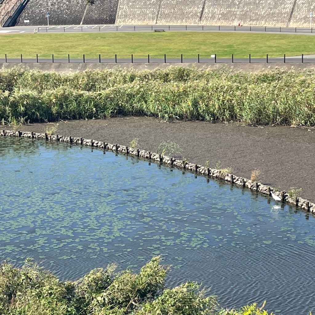 実際訪問したユーザーが直接撮影して投稿した今田公園境川遊水地公園の写真