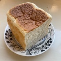 もっちり食パン - 実際訪問したユーザーが直接撮影して投稿した六田ベーカリーパンパーネの写真のメニュー情報