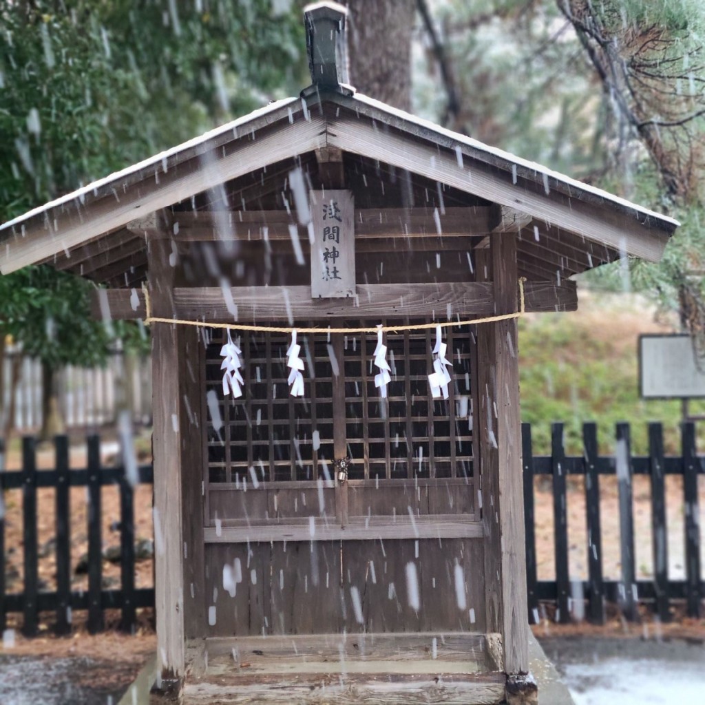 実際訪問したユーザーが直接撮影して投稿した善福寺神社浅間神社の写真