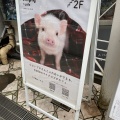 実際訪問したユーザーが直接撮影して投稿した西心斎橋カフェmipig cafe 大阪店の写真