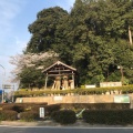 実際訪問したユーザーが直接撮影して投稿した陶町大川神社八王子神社の写真