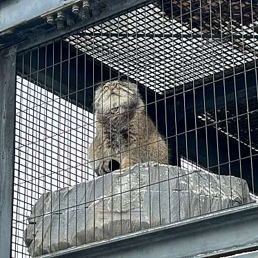 旭山動物園東門レストラン カムイチカプのundefinedに実際訪問訪問したユーザーunknownさんが新しく投稿した新着口コミの写真