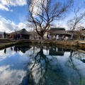 実際訪問したユーザーが直接撮影して投稿した忍草湖沼 / 池忍野八海の写真