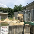 実際訪問したユーザーが直接撮影して投稿した欠町動物園岡崎市東公園 動物園の写真