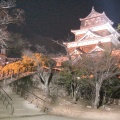 実際訪問したユーザーが直接撮影して投稿した基町城 / 城跡広島城 天守(天守閣)の写真