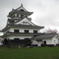 実際訪問したユーザーが直接撮影して投稿した館山城 / 城跡館山城の写真