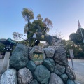 実際訪問したユーザーが直接撮影して投稿した真清田神社真清田神社の写真