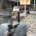 実際訪問したユーザーが直接撮影して投稿した佐草町神社八重垣神社の写真