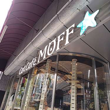 実際訪問したユーザーが直接撮影して投稿した神田花岡町テーマカフェねこCAFE MOFFの写真