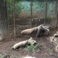 実際訪問したユーザーが直接撮影して投稿した北葛西動物園江戸川区自然動物園の写真