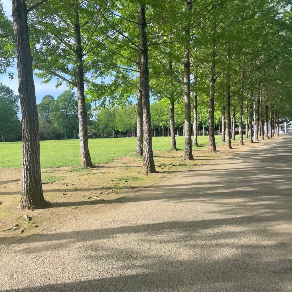 実際訪問したユーザーが直接撮影して投稿した御幸が丘公園科学万博記念公園の写真