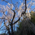 実際訪問したユーザーが直接撮影して投稿した鶴牧公園鶴牧西公園の写真