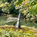 実際訪問したユーザーが直接撮影して投稿した金閣寺町寺金閣寺の写真