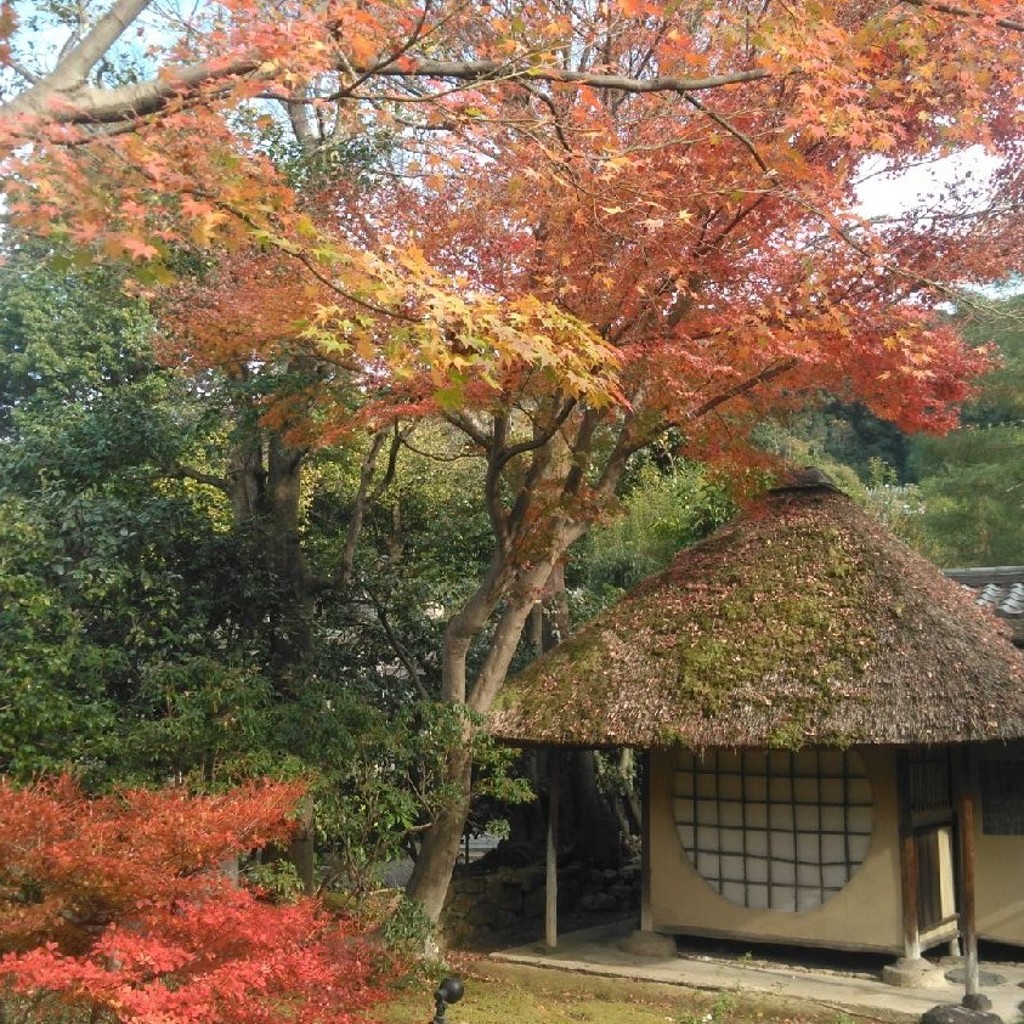 実際訪問したユーザーが直接撮影して投稿した桝屋町寺高台寺の写真