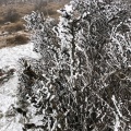 実際訪問したユーザーが直接撮影して投稿した山 / 峠藤原岳の写真