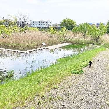 三橋総合公園のundefinedに実際訪問訪問したユーザーunknownさんが新しく投稿した新着口コミの写真