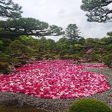 実際訪問したユーザーが直接撮影して投稿した八束町波入庭園由志園の写真