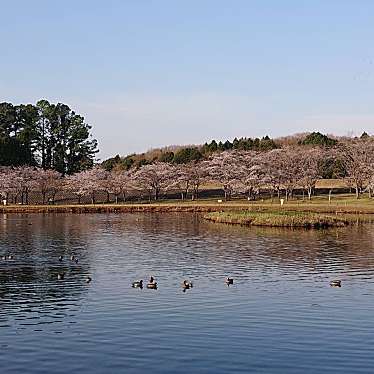 実際訪問したユーザーが直接撮影して投稿した御幸が丘公園科学万博記念公園の写真