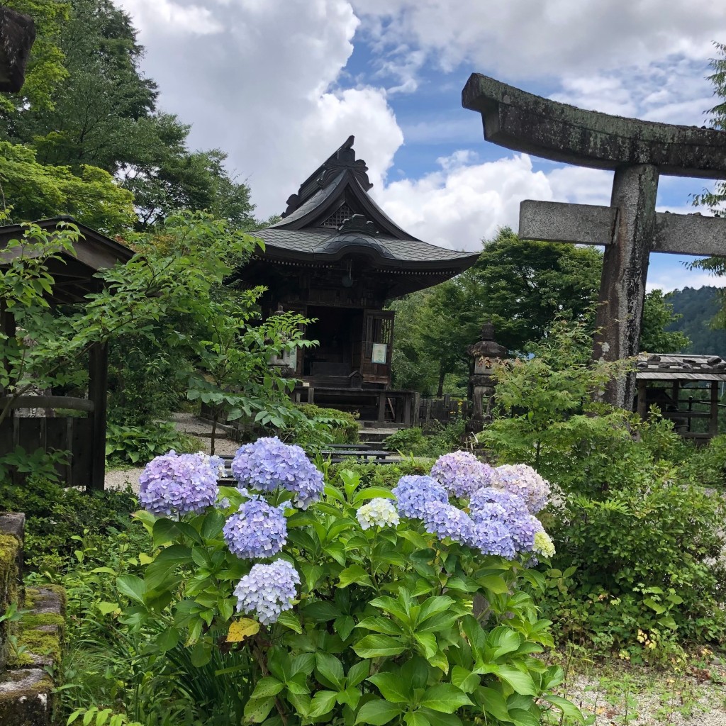 実際訪問したユーザーが直接撮影して投稿した上松寺臨川寺の写真