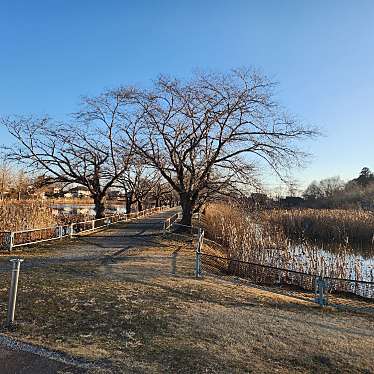 宮の池公園のundefinedに実際訪問訪問したユーザーunknownさんが新しく投稿した新着口コミの写真