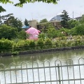 実際訪問したユーザーが直接撮影して投稿した開成公園開成山公園の写真