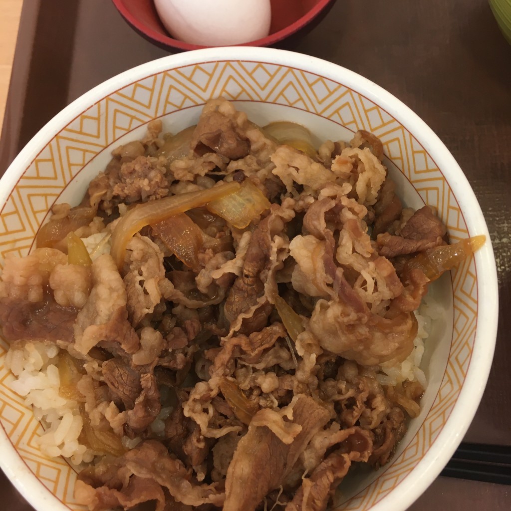 ユーザーが投稿した牛丼ランチの写真 - 実際訪問したユーザーが直接撮影して投稿した南塚口町牛丼すき家 南塚口七丁目店の写真