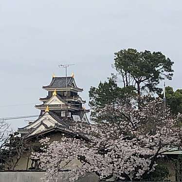 実際訪問したユーザーが直接撮影して投稿した丸の内城 / 城跡岡山城の写真