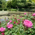 実際訪問したユーザーが直接撮影して投稿した発地植物園 / 樹木園軽井沢レイクガーデンの写真