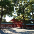 実際訪問したユーザーが直接撮影して投稿した高鼻町神社武蔵一宮 氷川神社の写真