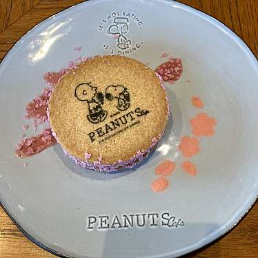 PEANUTS Cafe 名古屋のundefinedに実際訪問訪問したユーザーunknownさんが新しく投稿した新着口コミの写真