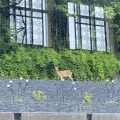 実際訪問したユーザーが直接撮影して投稿した定山渓温泉東ホテル定山渓鶴雅リゾートスパ 森の謌の写真