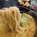 実際訪問したユーザーが直接撮影して投稿した南矢野目ラーメン / つけ麺もちもちの木 福島店の写真