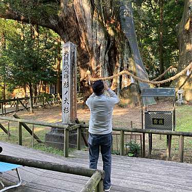 実際訪問したユーザーが直接撮影して投稿した杉自然名所杉の大スギの写真