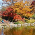 実際訪問したユーザーが直接撮影して投稿した三波川公園桜山公園の写真