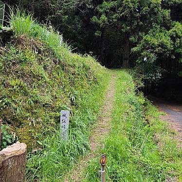 くまくまくまーさんが投稿した山 / 峠のお店熊野古道・風伝峠の写真