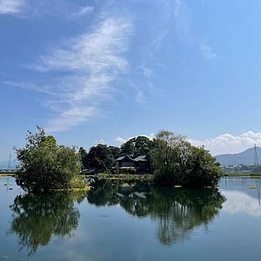 実際訪問したユーザーが直接撮影して投稿した井寺公園浮島周辺水辺公園の写真