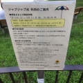 実際訪問したユーザーが直接撮影して投稿した駒沢公園駒沢オリンピック公園 ジャブジャブ池の写真