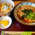 かつ丼定食/うどん - 実際訪問したユーザーが直接撮影して投稿した永代町そば若菜そば 茨木店の写真のメニュー情報