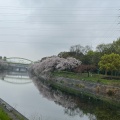 実際訪問したユーザーが直接撮影して投稿した品川町公園荒子川公園の写真