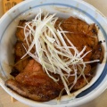 豚丼セットご飯少 - 実際訪問したユーザーが直接撮影して投稿した前田五条丼もの十勝豚丼いっぴん 手稲店の写真のメニュー情報